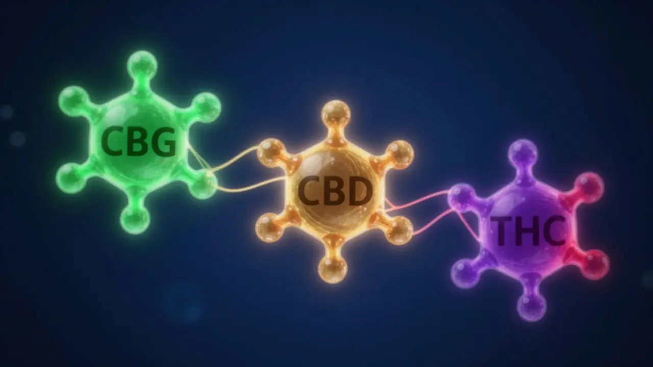 Abstraktní vizualizace molekul CBG, CBD a THC propojených nervovými dráhami